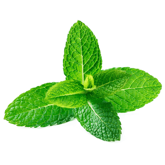 Spearmint Seeds