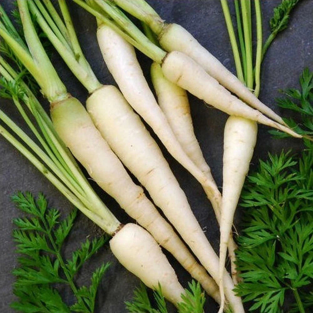 Carrots