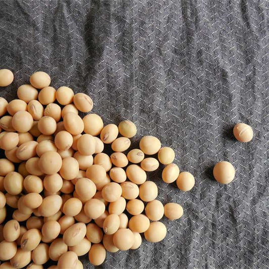 Edamame Seeds (Soybean)