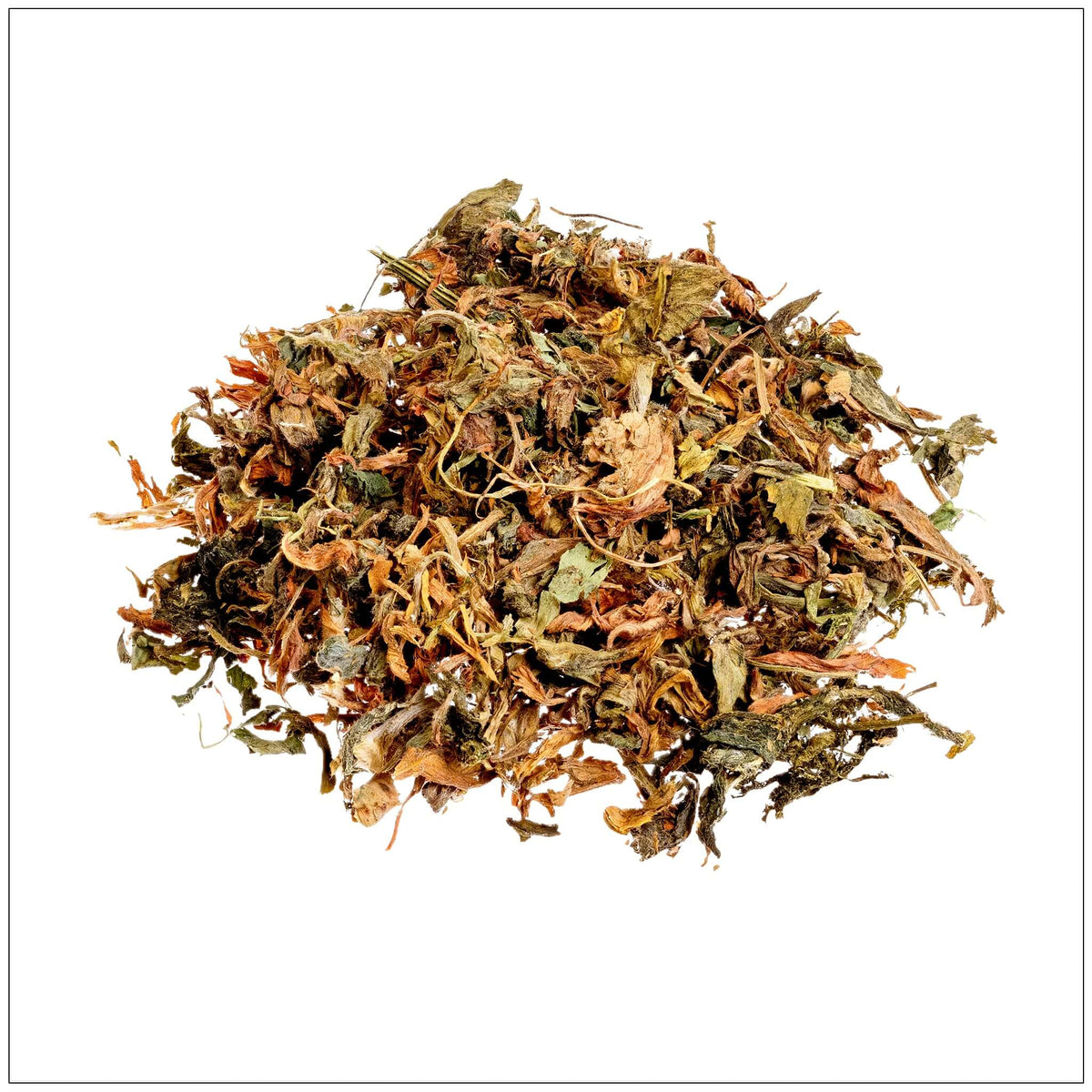 Alfalfa Leaf