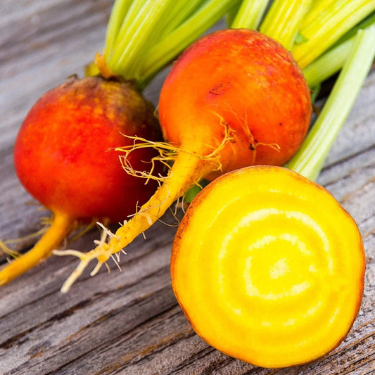 Golden Beet Seeds - 'Gold Sunset' (Beta vulgaris) - 200 Seeds