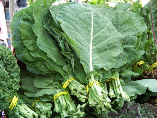 Collard Greens Seeds - Georgia Collard - 360 Seeds